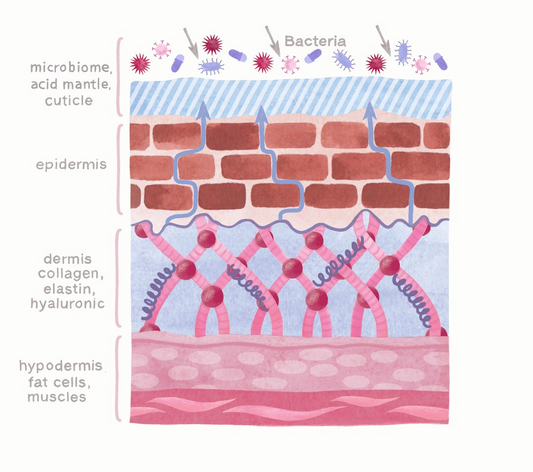 Skin Theory